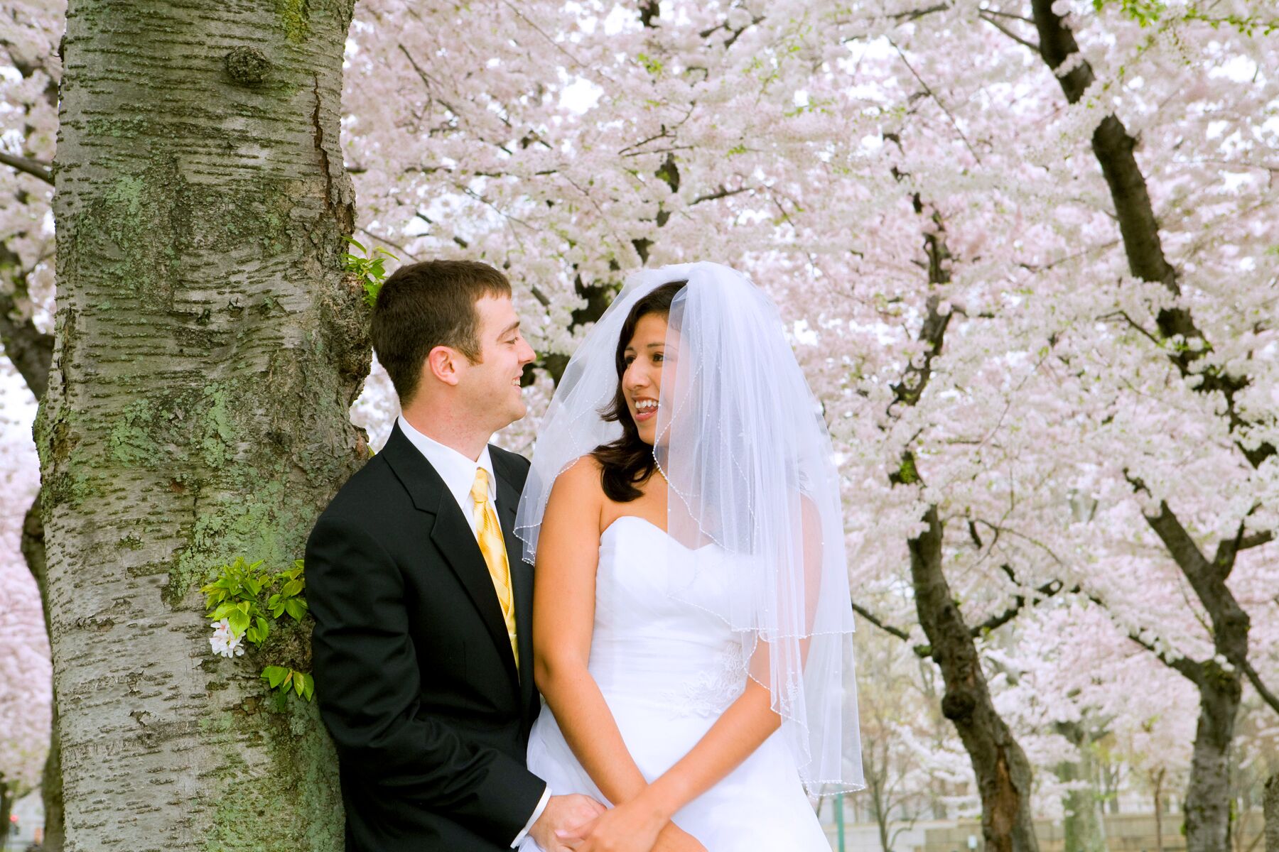 Wedding specialty vendors by Joe Pro Photo-Videography LLC in Burtonsville, MD