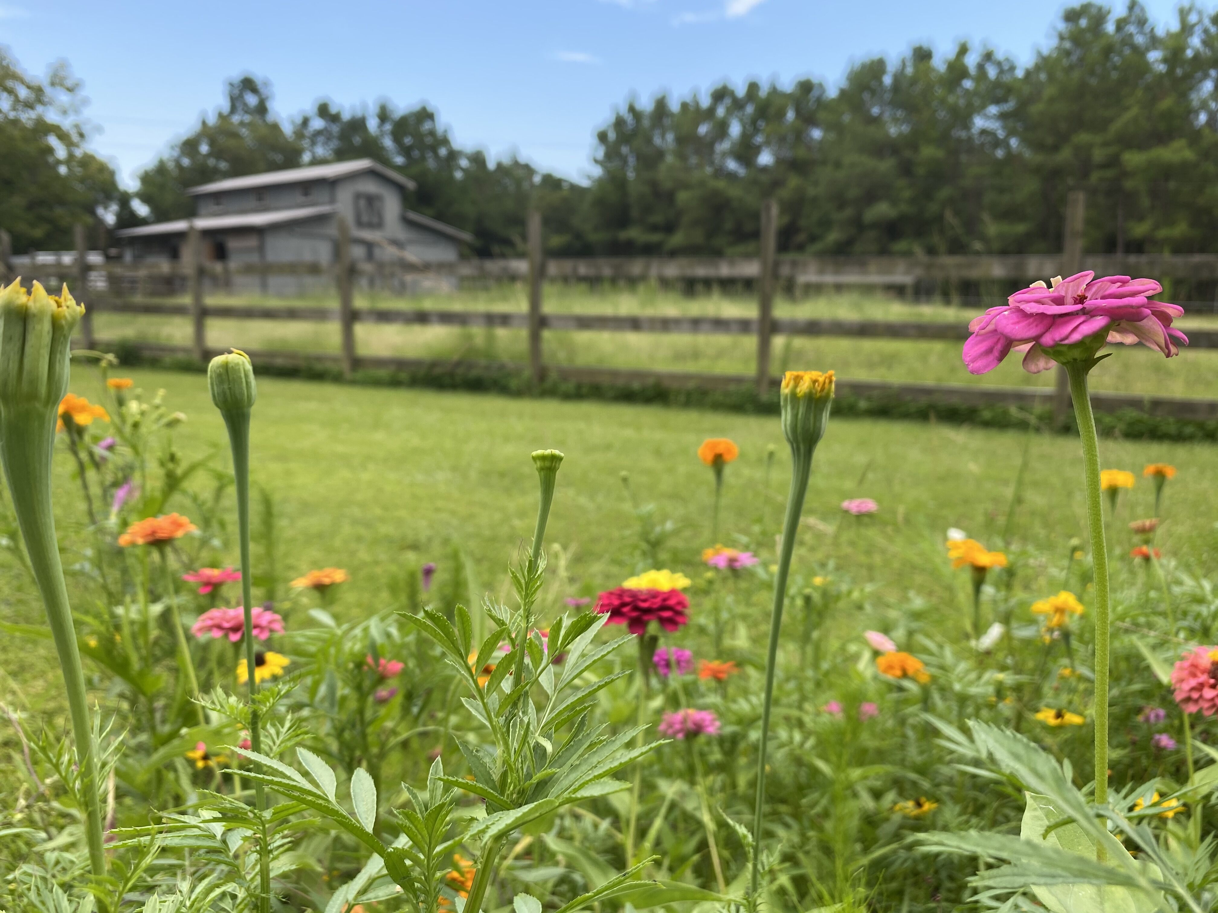 Wedding specialty vendors by Greenlands Farm in Bolivia, NC