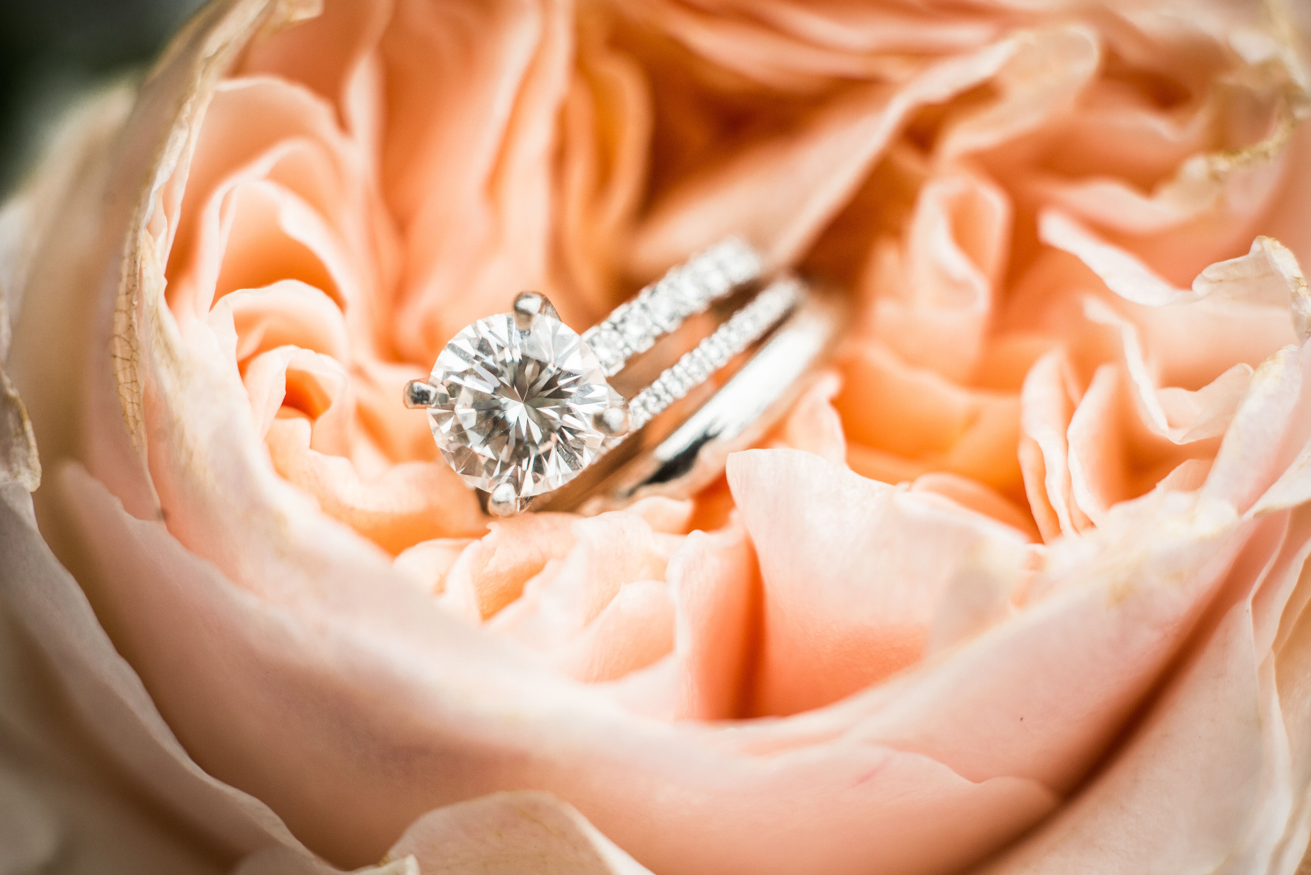 Wedding photo & video by Blueflash Photography in Cranston, RI