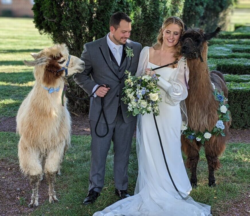 Wedding rentals by Lower Sherwood Farm in Charlottesville, VA